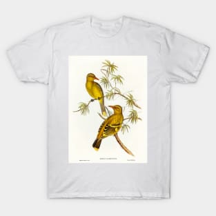 Crescent-marked Oriole T-Shirt